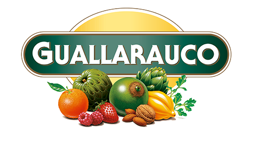 Logo Guallarauco para fondo oscuro copia